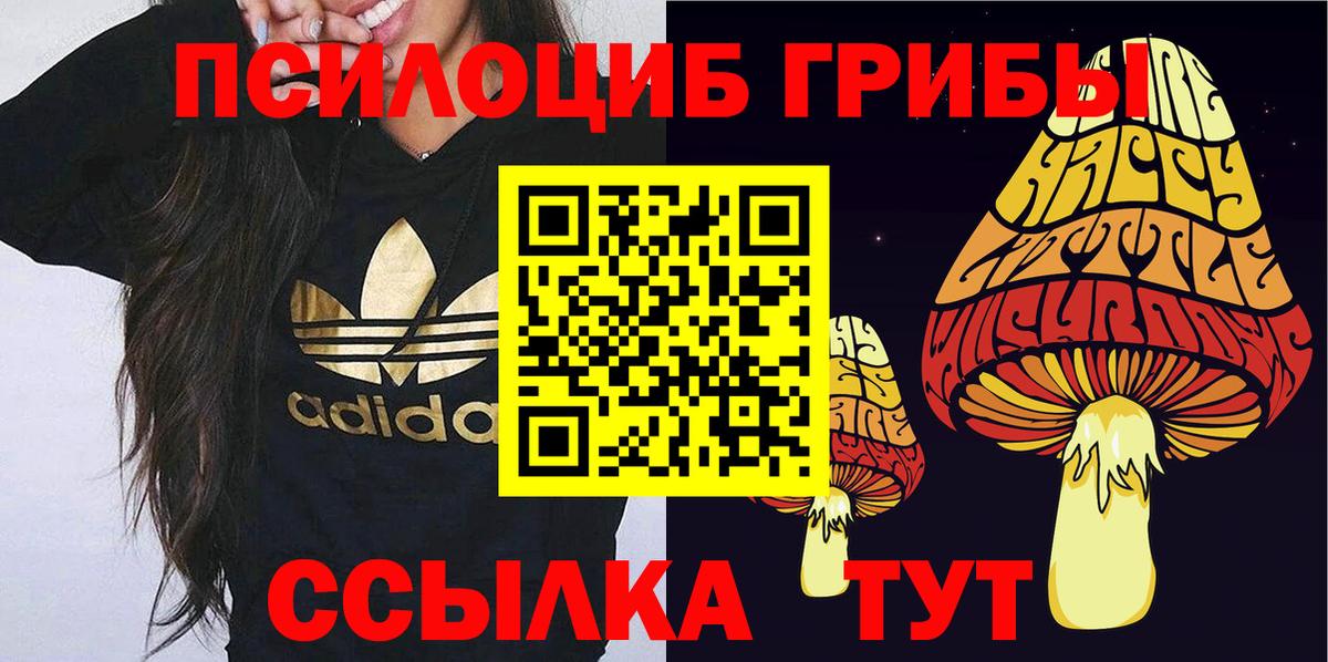 Псилоцибиновые грибы MAGIC MUSHROOMS Нурлат