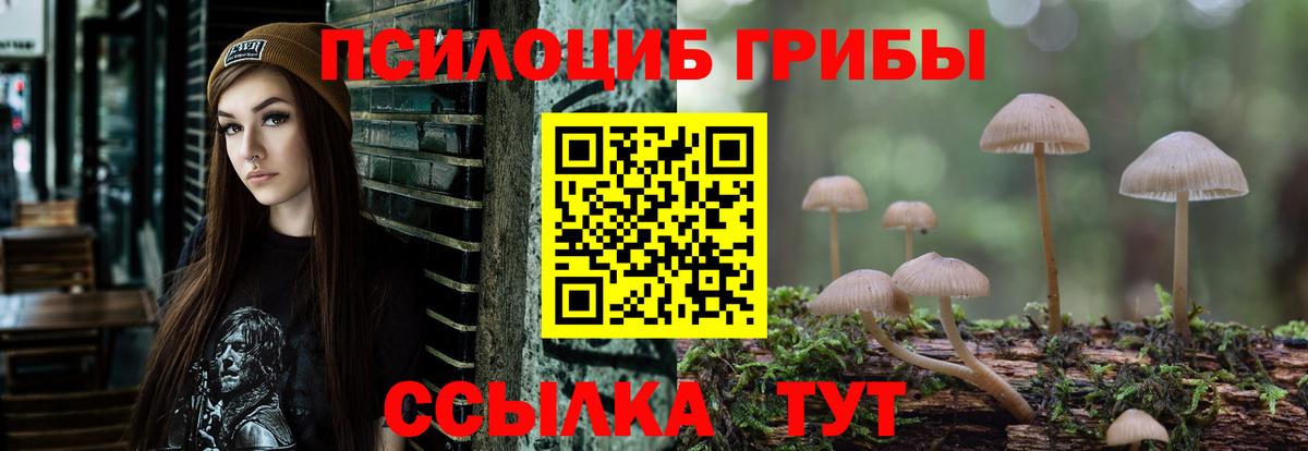 Нурлат  где продают   Галлюциногенные грибы ЛСД  Вход с VPN  Галлюциногенные грибы мицелий 