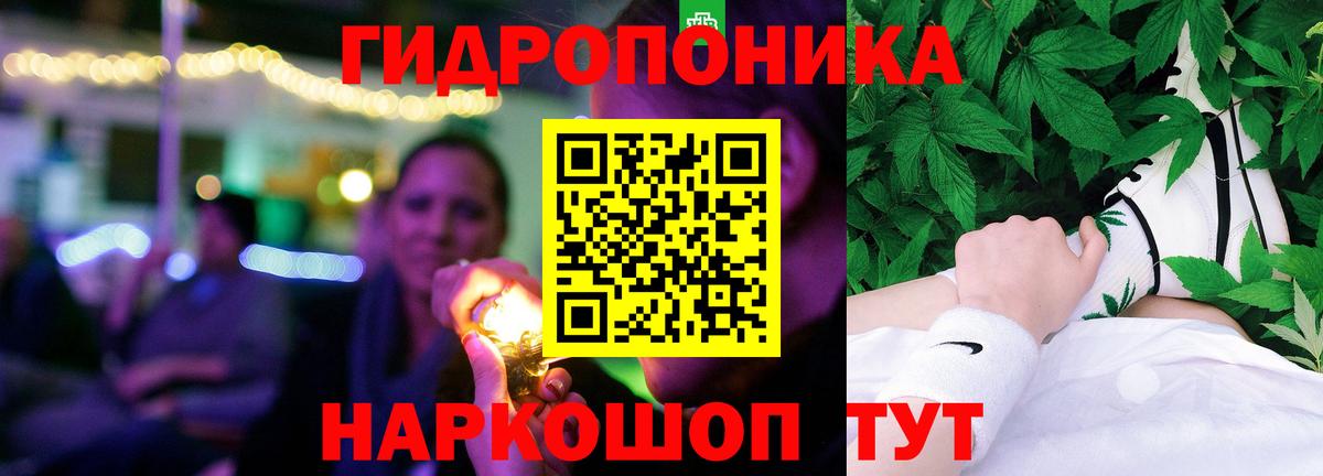 Каннабис сатива Нурлат